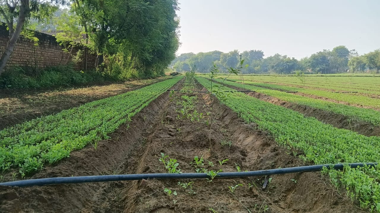 Community Empowerment